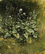 Juan Luna, Wild grass